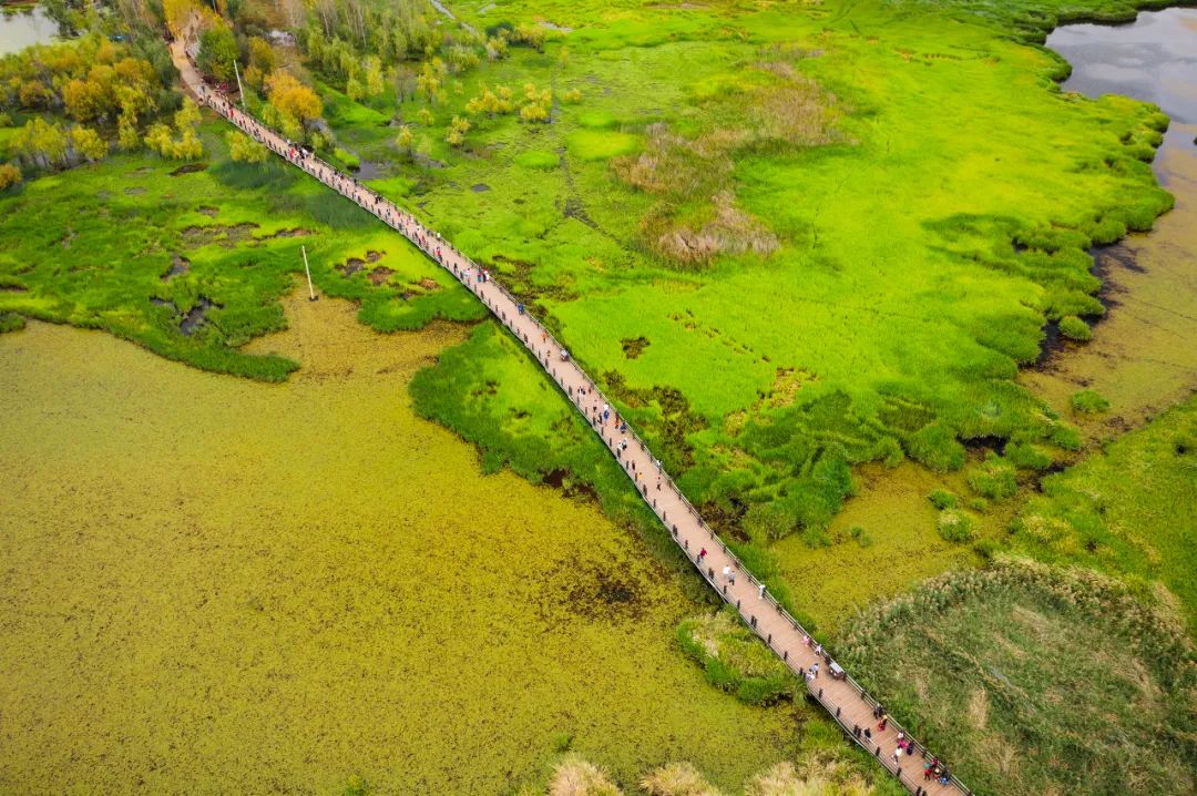 丽江是一个让人念念不忘的地方,丽江一个充满诗情画意的地方