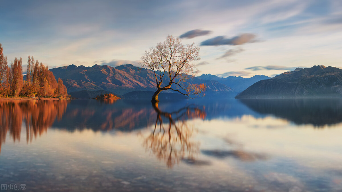 王世亮本人,王世亮莱阳