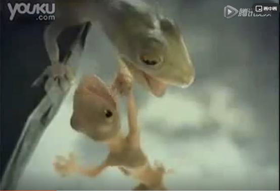 泰国足球广告视频观后感,泰国足球公益广告观后感