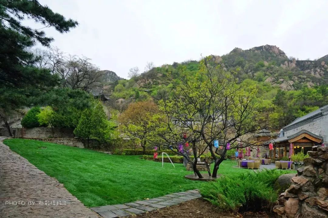 北京京郊童话树屋,台湾神奇的树屋