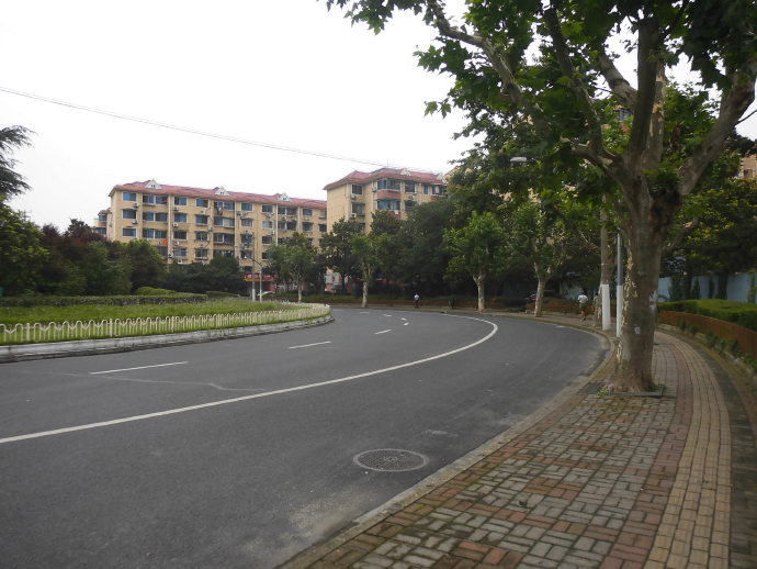 上海世界路巡游,带你巡游中国