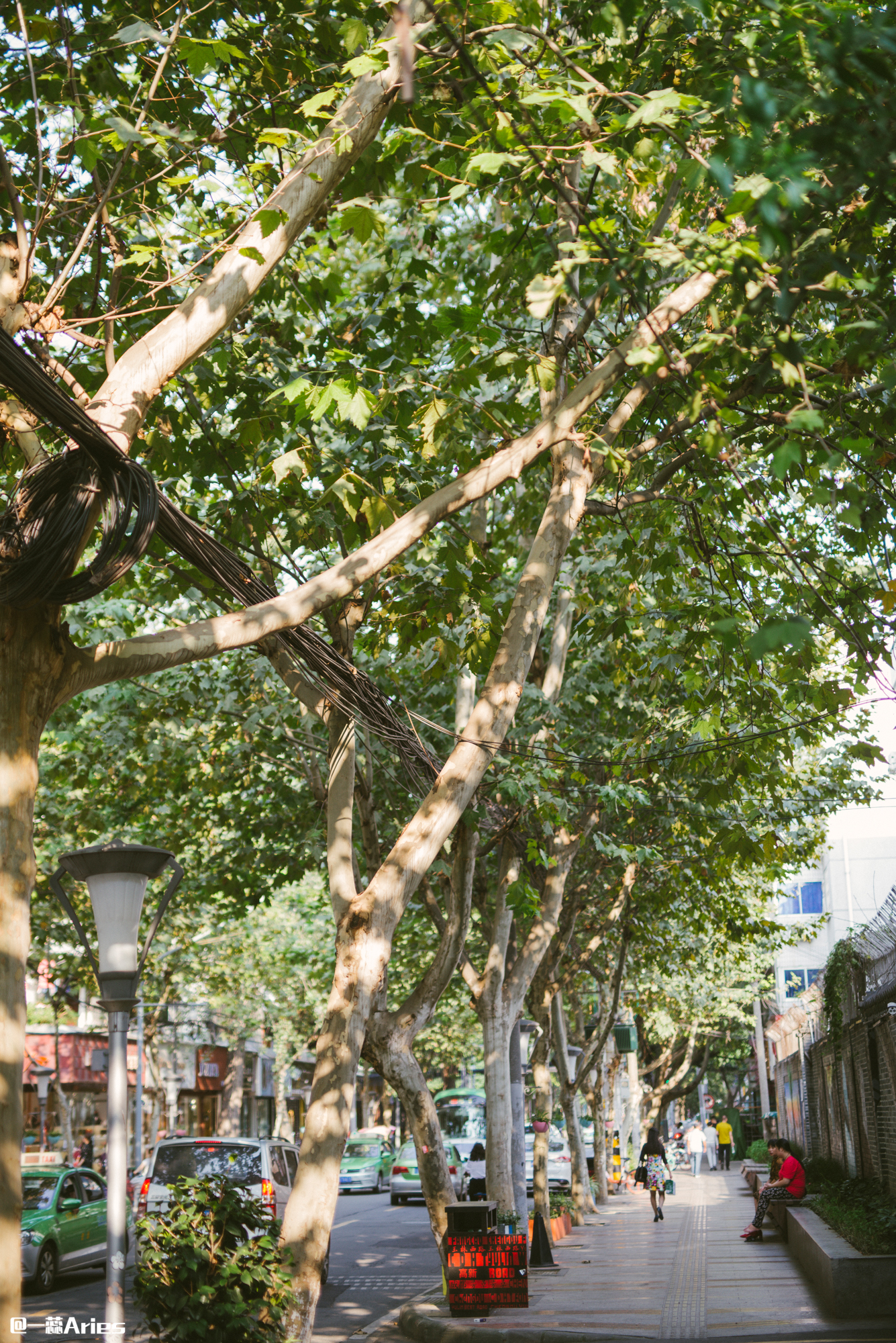 成都小众旅游地方推荐,成都小众景点推荐