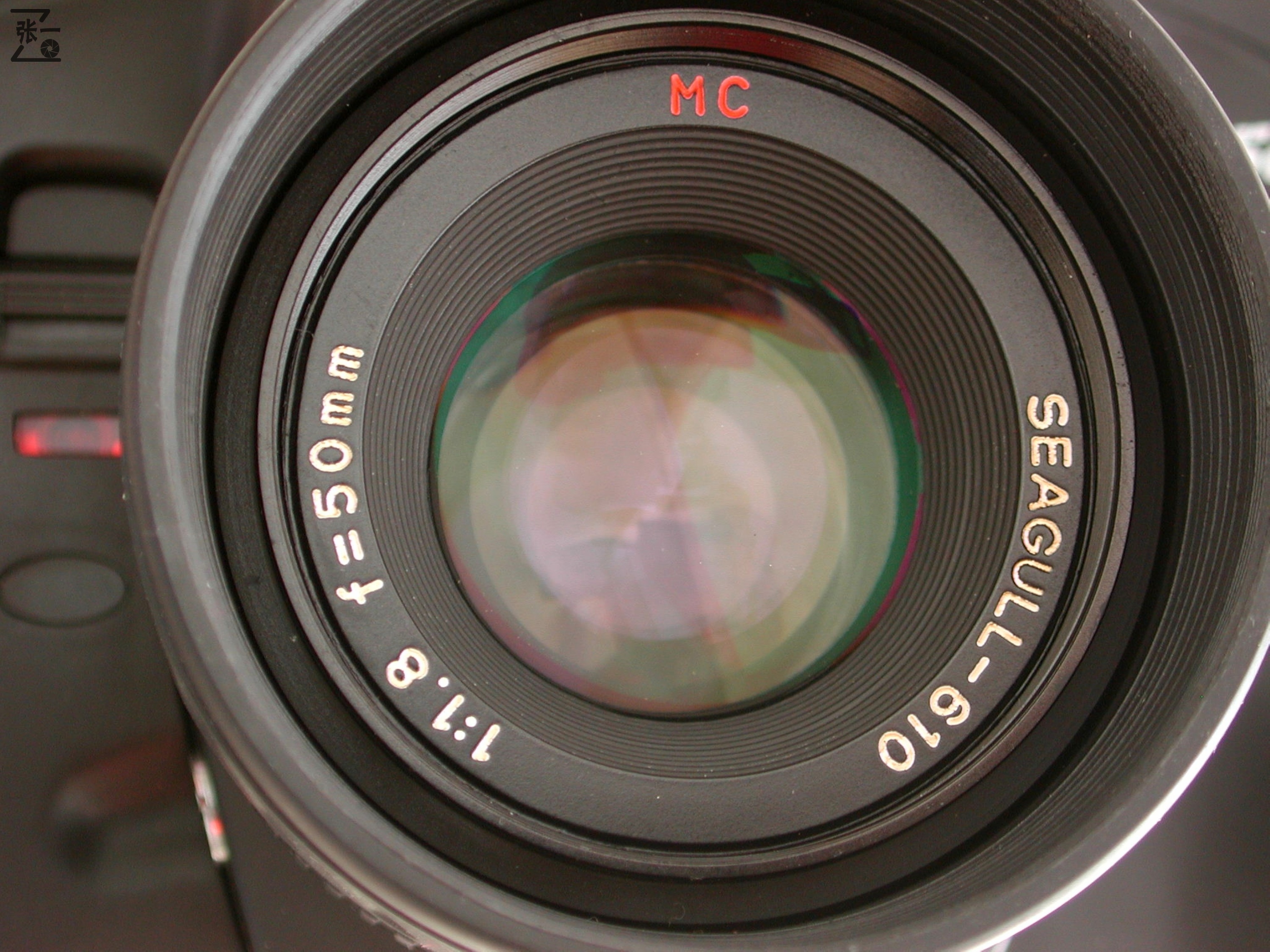 海鸥单反相机哪款型号好,海鸥单反相机是哪国品牌