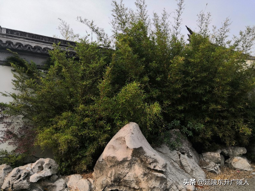 常州胥城遗址与恽南田的家乡