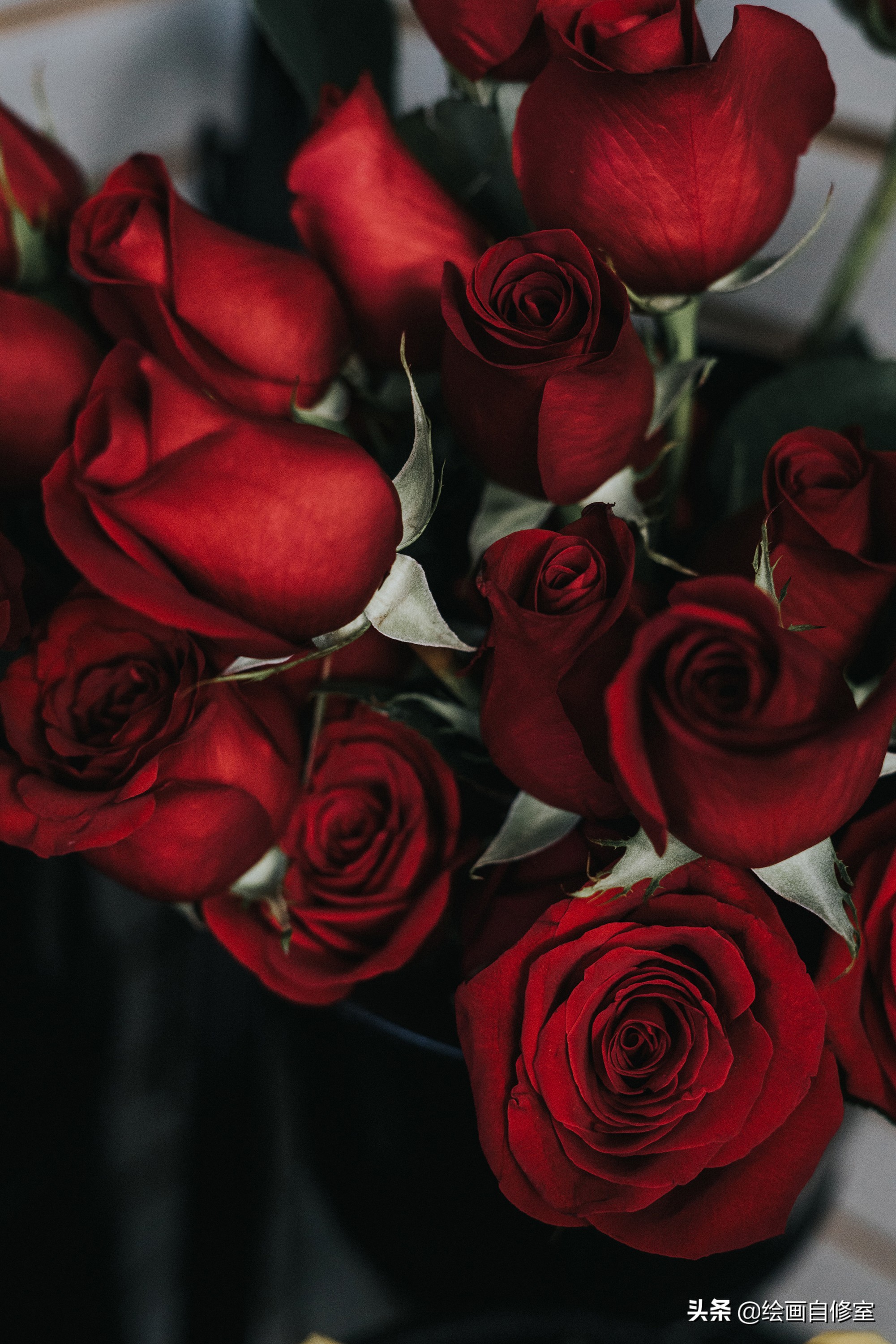 情人节手绘玫瑰花图,情人节花束手绘蓝玫瑰