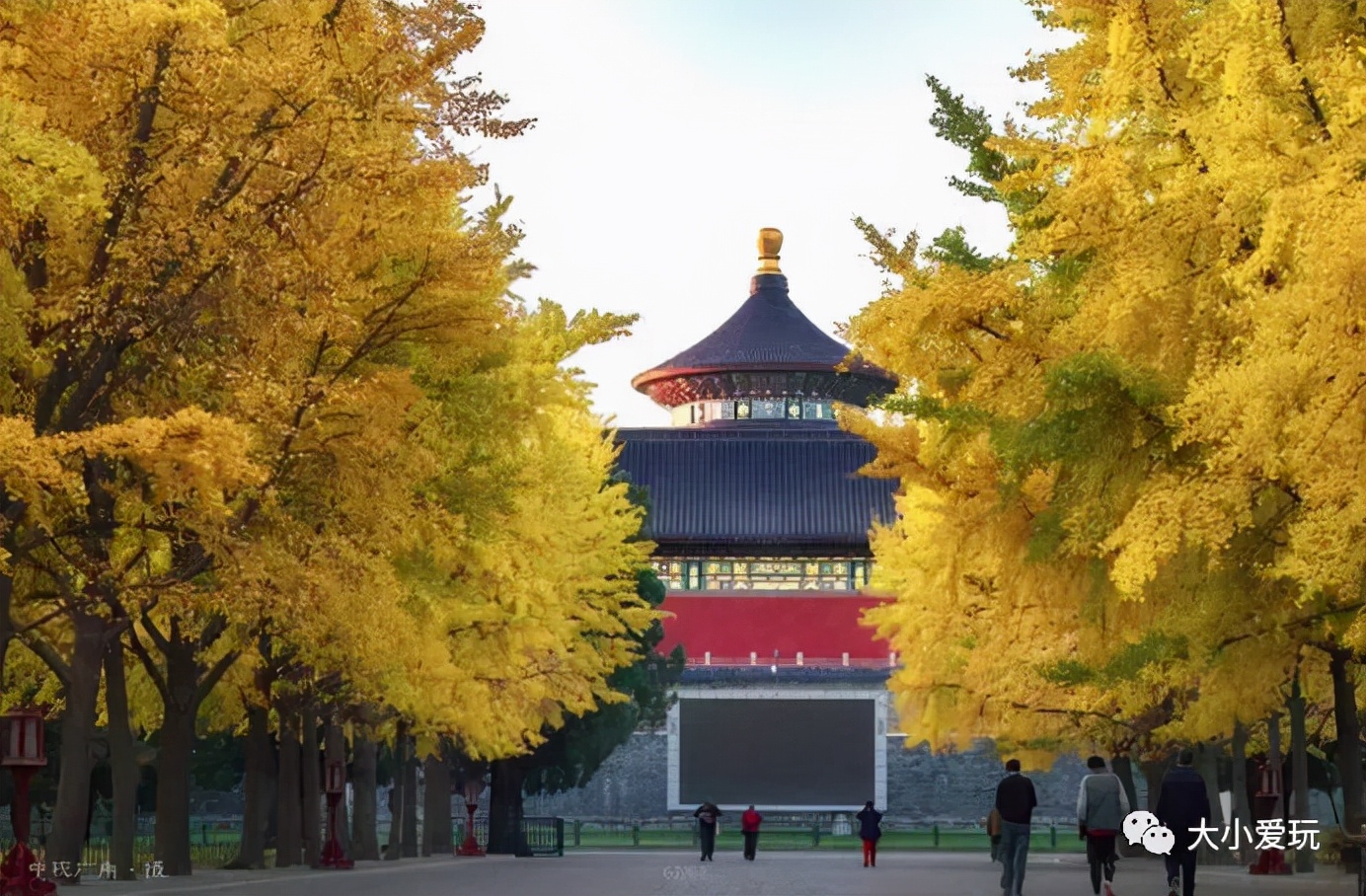 北京红螺寺银杏最佳观赏时间,北京赏银杏景区有哪些