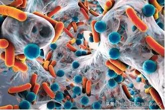 学生肺结核筛查有必要吗,入学肺结核筛查要不要做