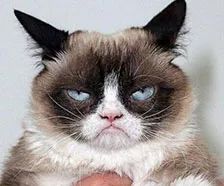 曝光毒猫粮这些猫粮你踩雷了吗,毒猫粮是智商税吗