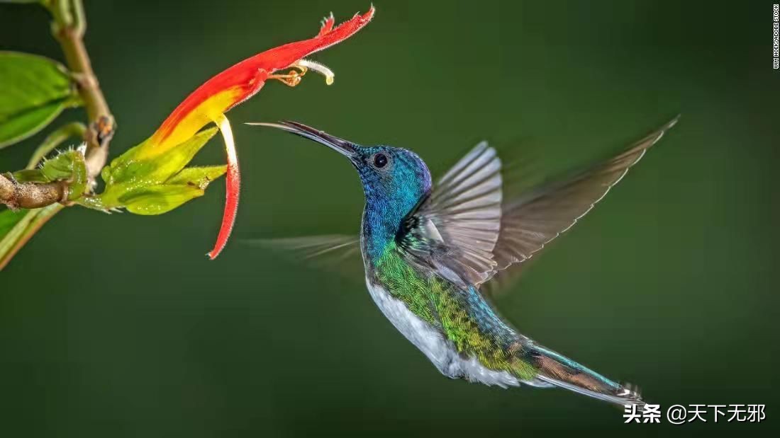 中国科学家对李政道的评价,中国科学史李申书评