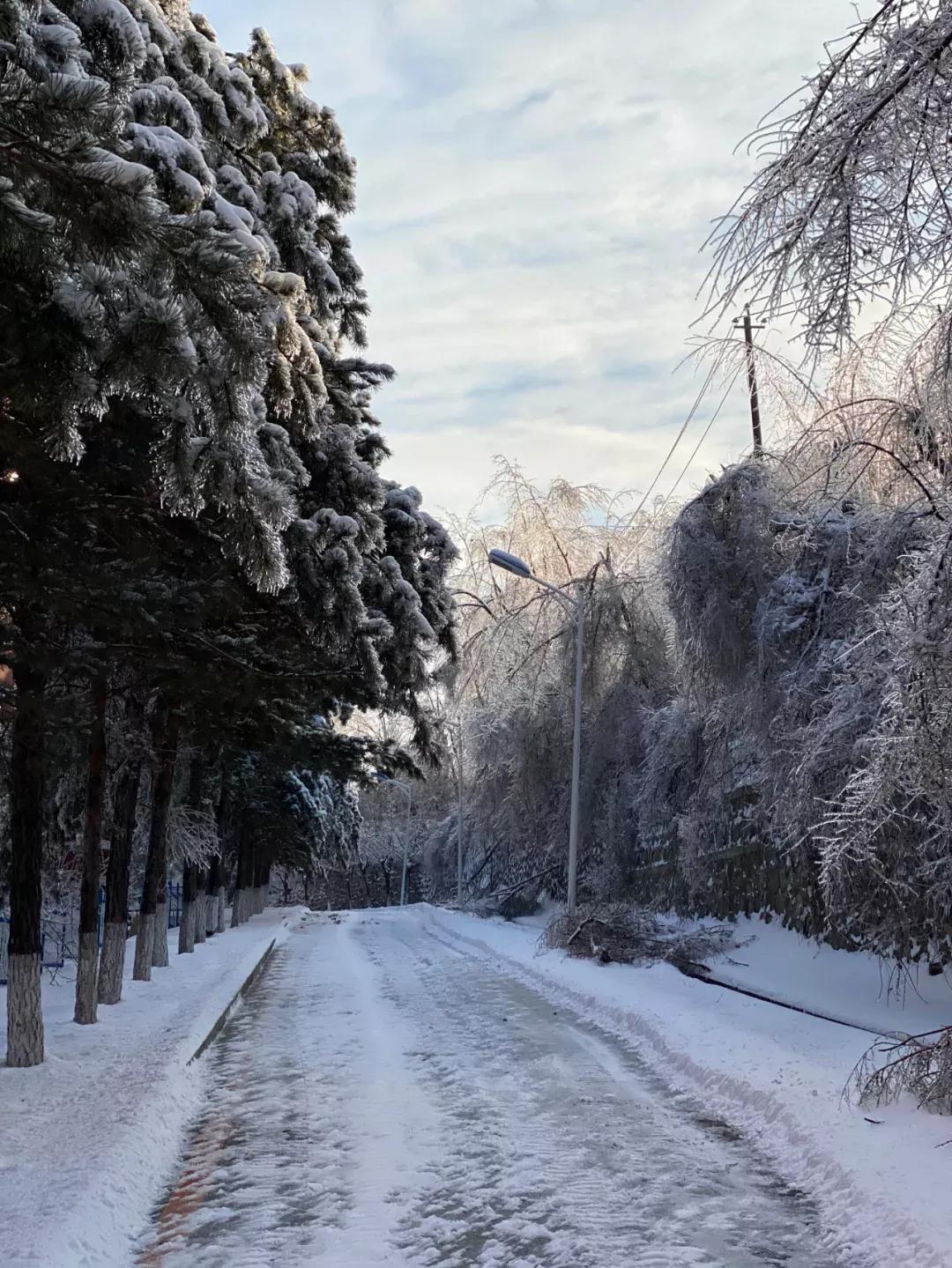 吉林省独立院校（二）东北师范大学人文学院