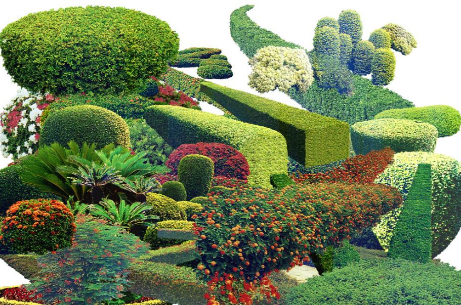 园林绿化造价预算表模板,园林绿化设计预算