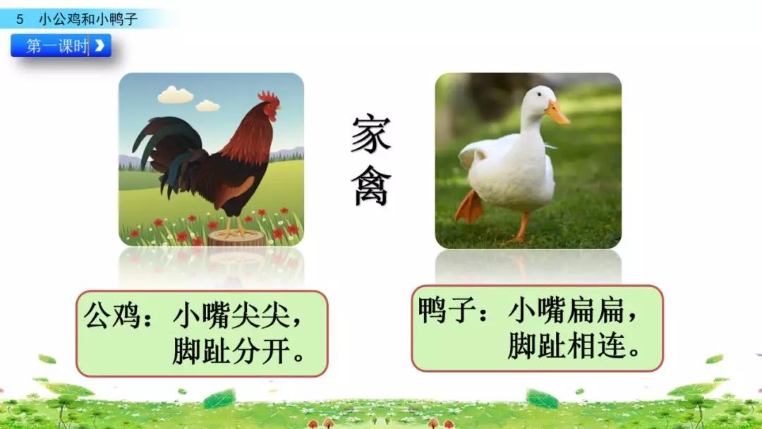 小公鸡和小鸭子一年级下册组词,一年级语文小公鸡和小鸭子复习