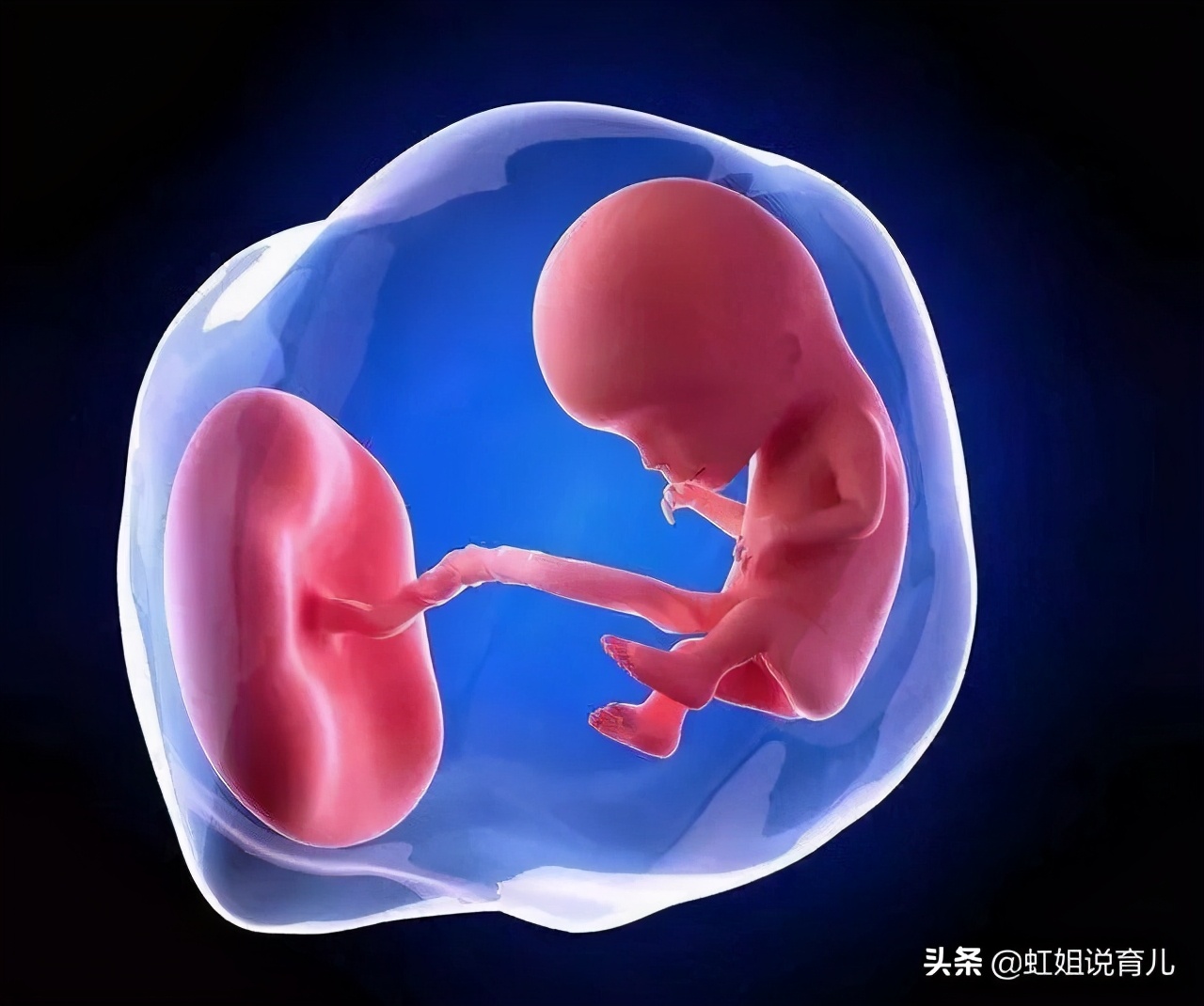 孕期二个月营养食谱,孕期两个月期间需要什么营养