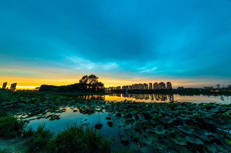 龙湖智慧服务科技传递温暖,龙湖智慧服务成立于哪一年