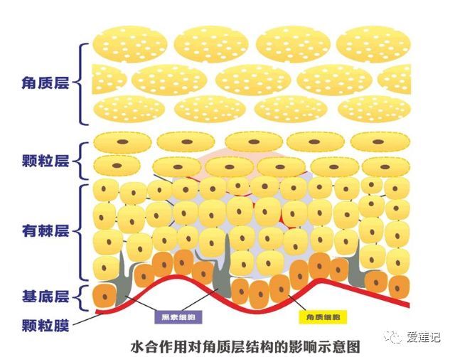 护肤品上脸有刺痛感是因为缺水吗,护肤品上脸有刺痛感是正常的吗