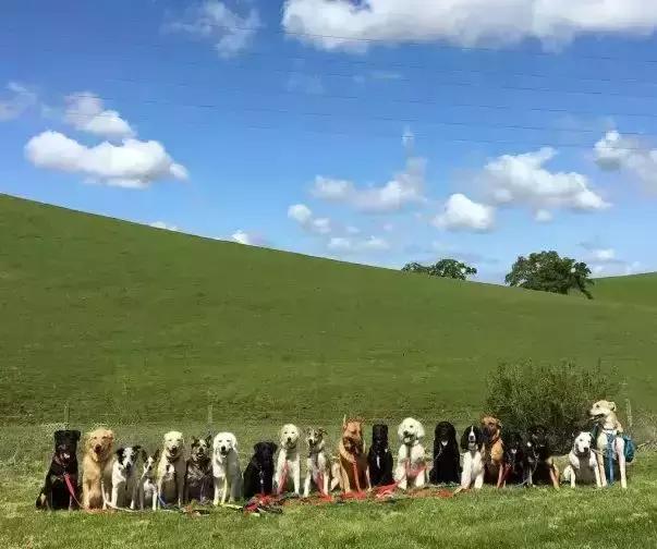 平时瓶盖都拧不开的小女生,平时拧不开瓶盖的女孩原视频