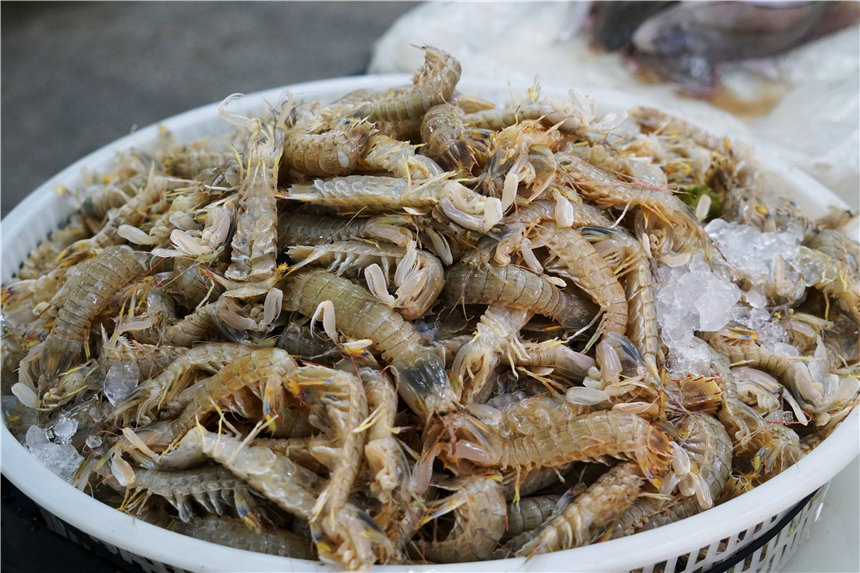 浙江哪个的海岛海鲜便宜,中国哪个海边城市的海鲜最便宜了