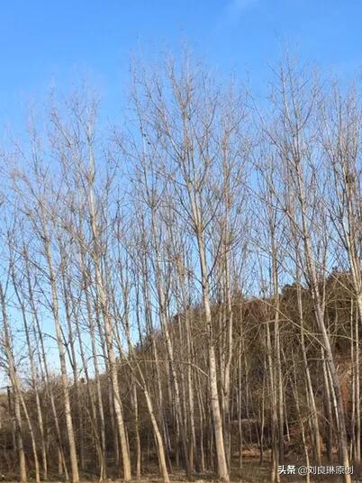 我对的对联在哪里找到,我对的对联