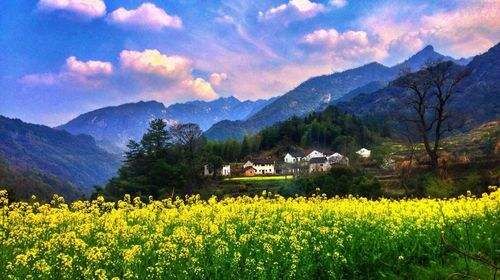 适合爬山爱好者去的冷门山,这里有一座山