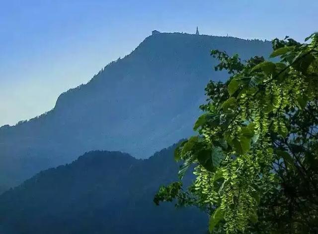 顺丰汪勇之生死之外获得多少奖金,顺丰小哥汪勇连升3级