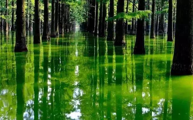 简单介绍一下关于武汉,你真的了解武汉吗