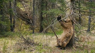 为什么一到夏天手上就长水泡很痒,一到夏天就痒长水泡