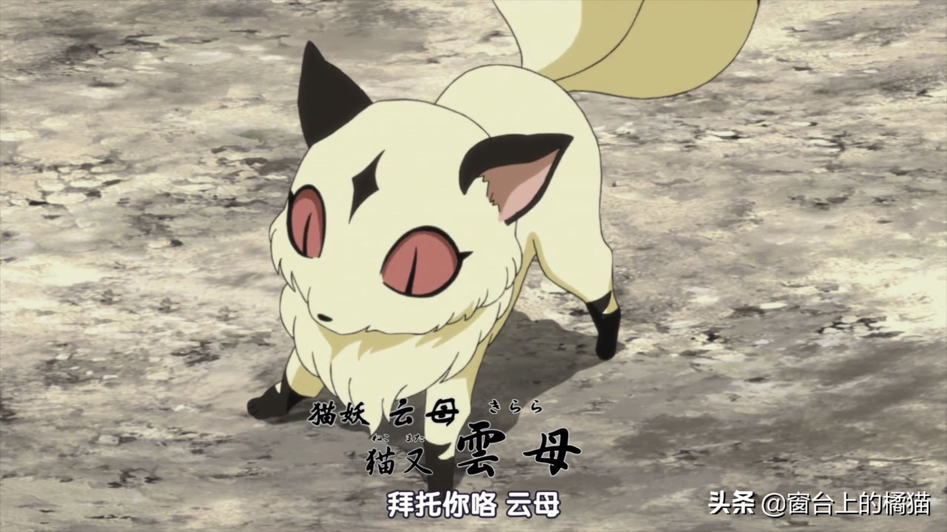 犬夜叉半妖的夜叉姬剧情介绍,犬夜叉后传大结局