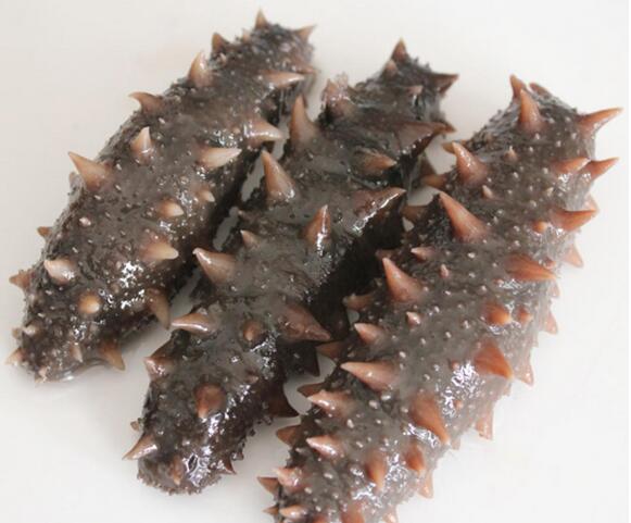 十大海参世界官方排名,海参十大产地排名