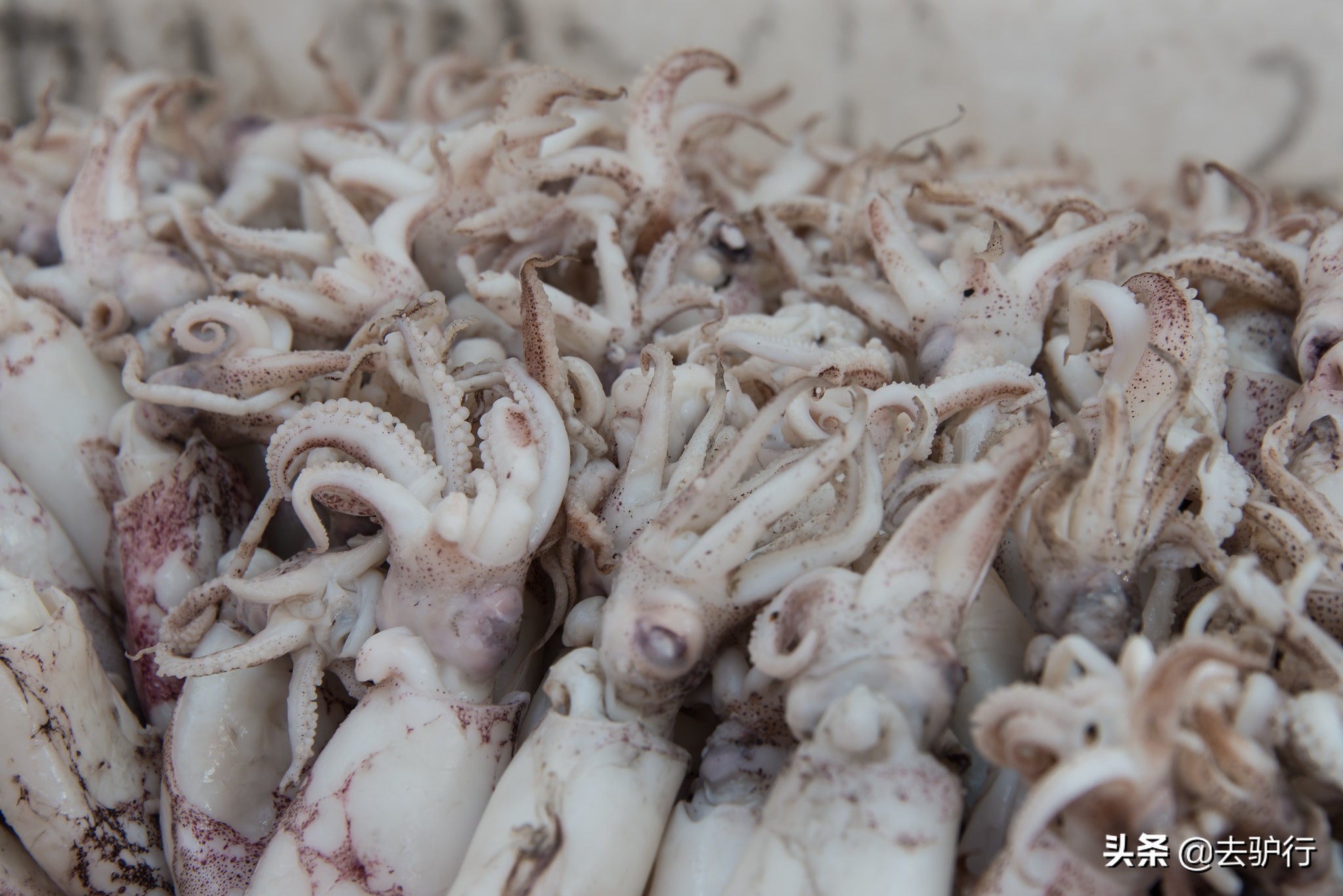 福建龙岩经济落后吗,福建龙岩靠什么发展