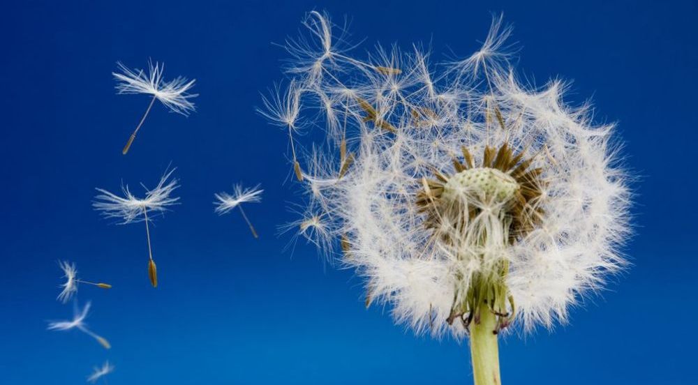 春天最适合滋补的食物,这4种东西千万不要拿回家会很穷