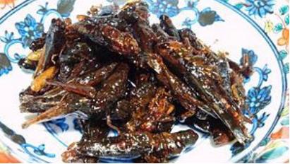 日本最可怕的七种食物,日本奇怪的食物