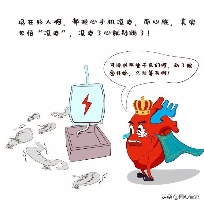 心脏最怕什么？送你几招“破解秘籍”！