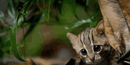 长春家长都领着孩子在干这件事儿，你没做，就落后了！