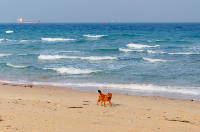 国内比三亚更值得去的海岛,比三亚更值得去的海岛