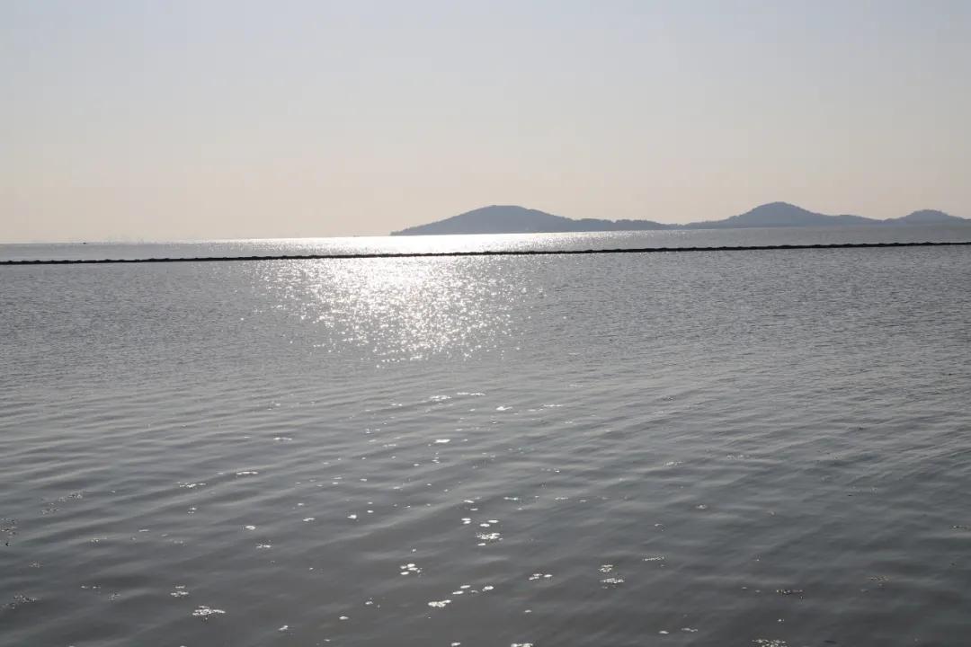 苏州旅游攻略元旦适合去吗,元旦旅游推荐苏州周边景点