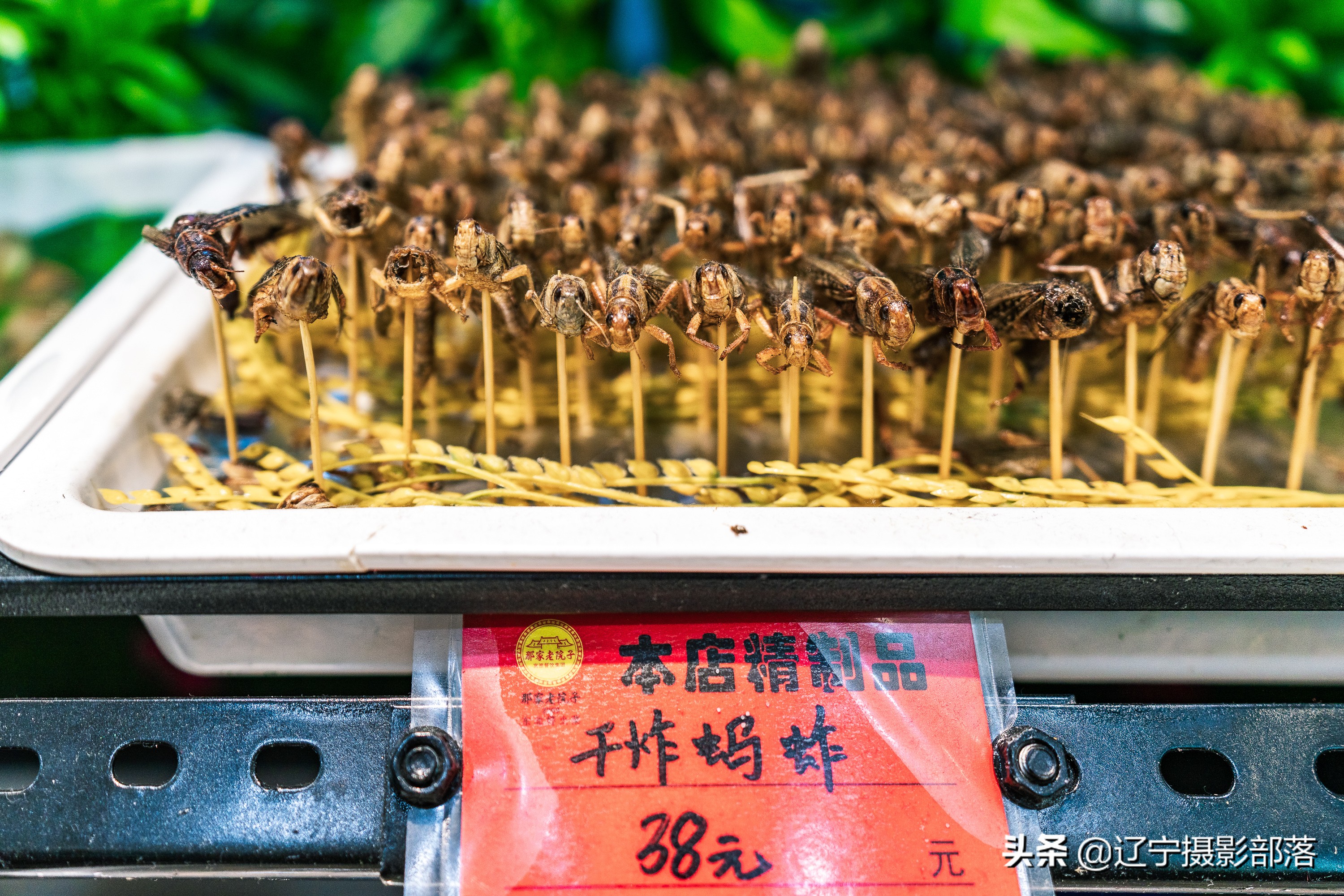 带你看遍沈阳吃喝玩乐,沈阳吃喝玩攻略大全