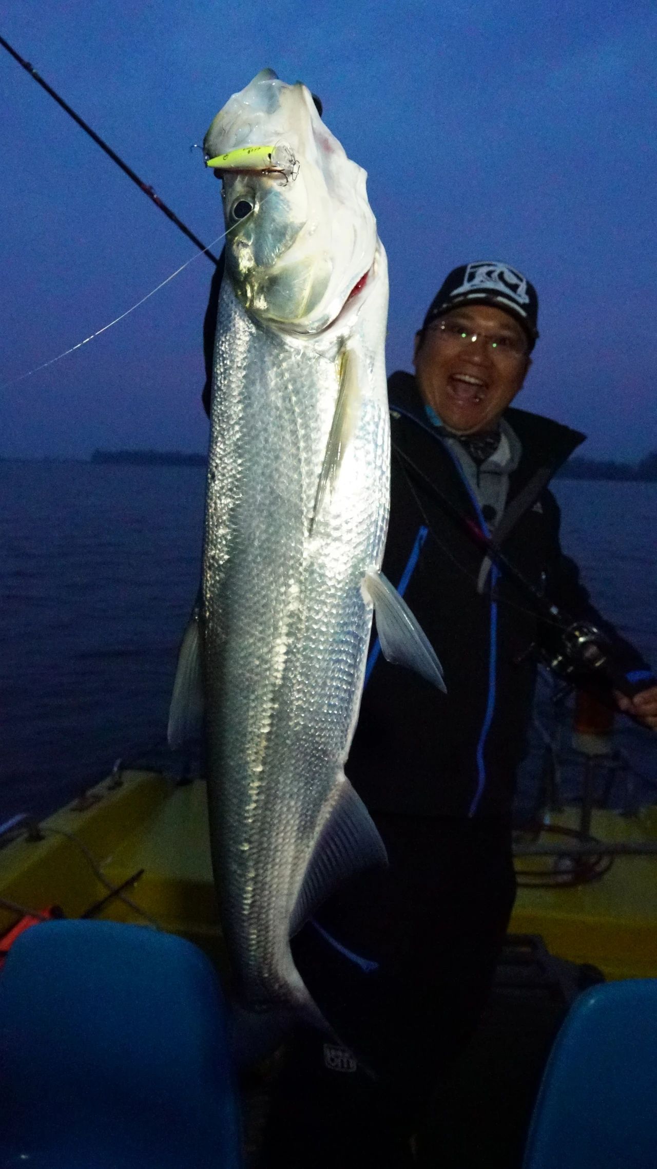 蓝旗鱼路亚翘嘴,蓝旗鱼路亚翘嘴水面系手法