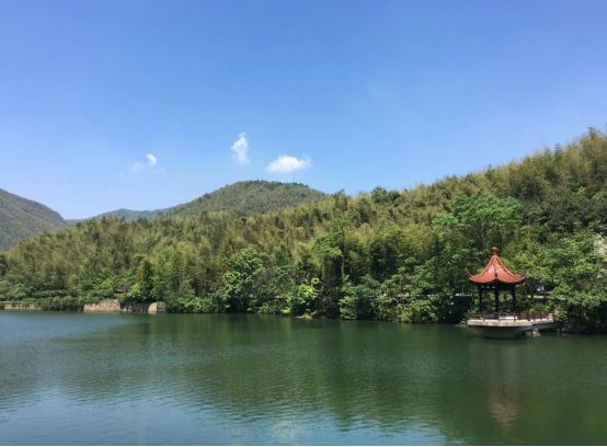 有景有画的诗,有景有情的诗写秋天的