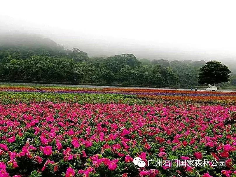 从化旅游攻略五天自由行,五一从化亲子游十大必去景点