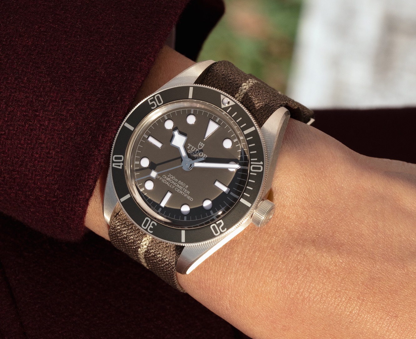 1958帝舵925银机芯,帝舵1958黑陶瓷和925银