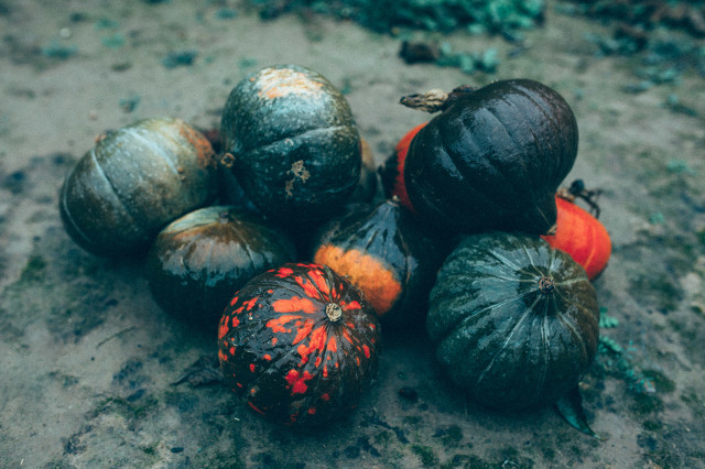 家乡的环境说明文,家乡的环境300字