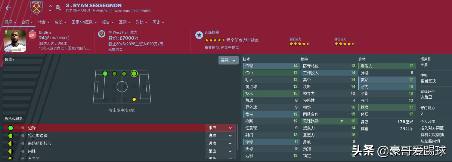 fm足球经理阵型,fm足球经理名单