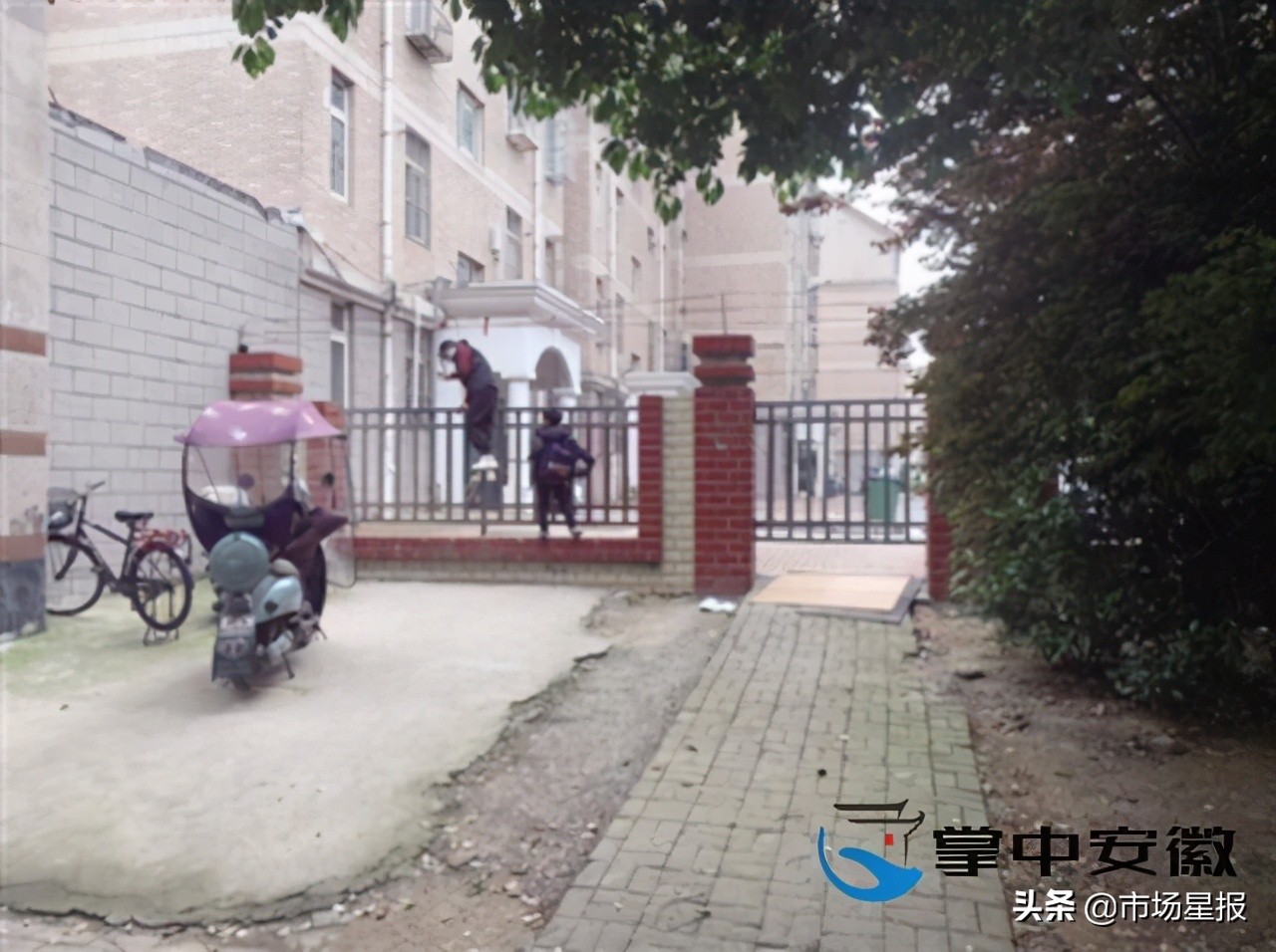 「星报调查」有大门不走，合肥这个小区业主偏爱翻围墙？