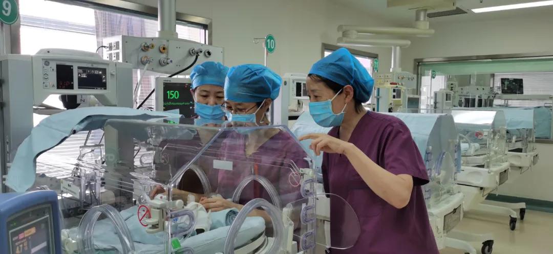 “迷你型小早早”出院了