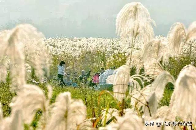 原来长沙隐藏了这14个人少景美的江心洲！不出城就能感受“海岛风情”，有些可以追溯到五代十国……