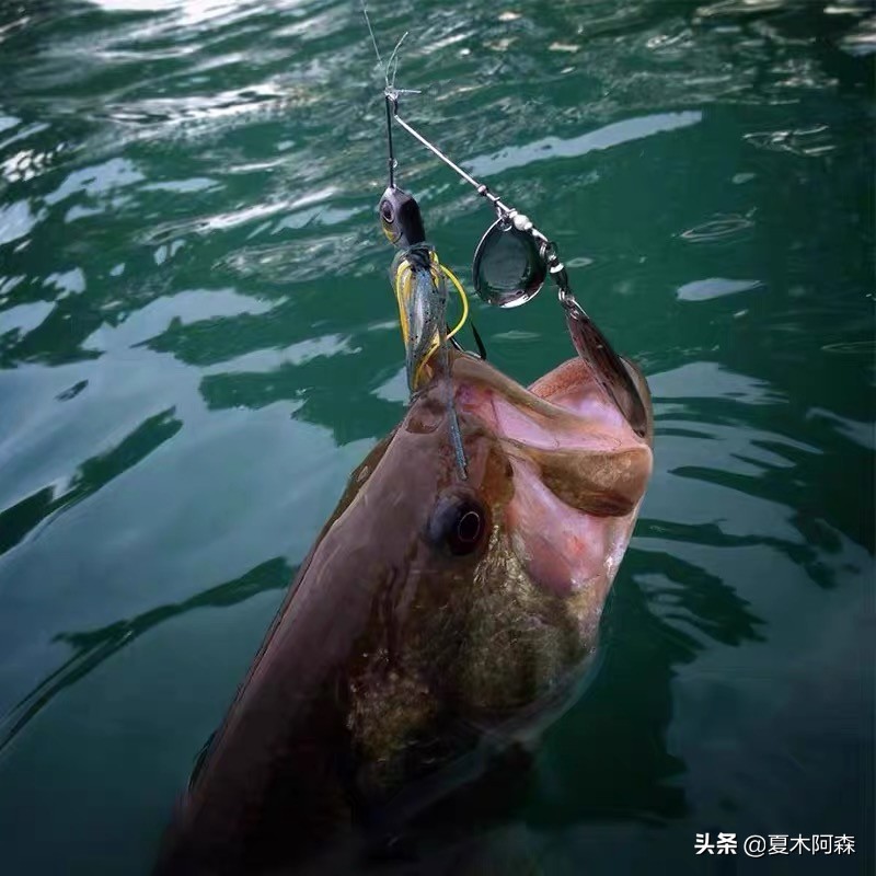 路亚新手不知道怎么玩,路亚你不知道的钓法