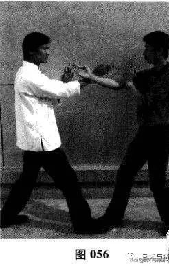 咏春八手招式完整版,咏春八手林正英完整版