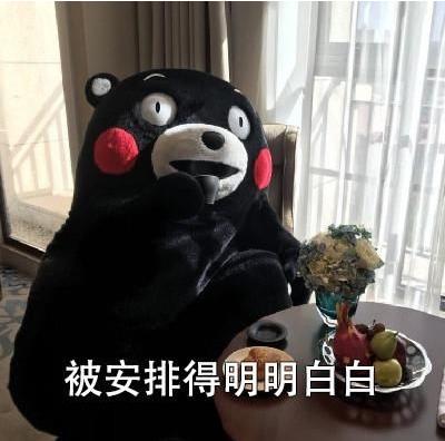 一文帮你梳理交易中的十大真相,警惕网贷诈骗的套路