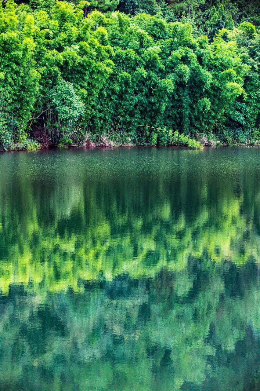 坐上高铁去旅游沿线美食尝个遍,云贵川渝高铁环线