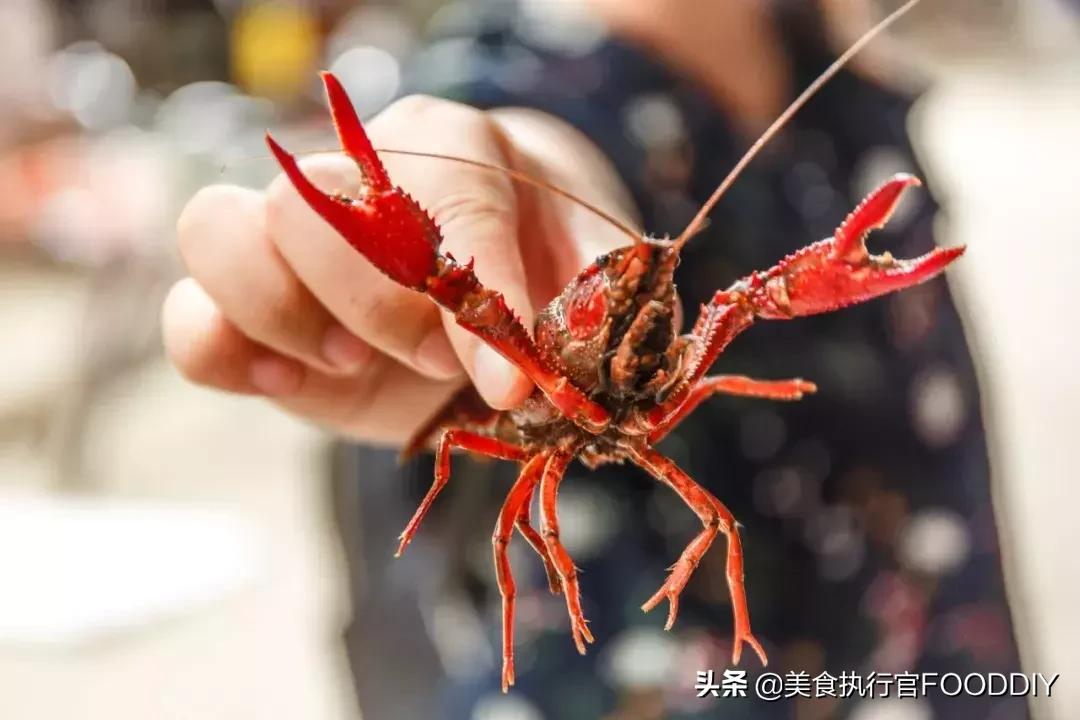 广州粤菜和川菜哪个好吃,为什么粤菜不如川菜受欢迎